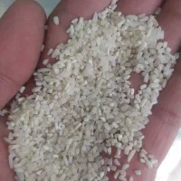 برنج نیم دانه طارم هاشمی عطری خالص