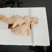زنجبیل تازه