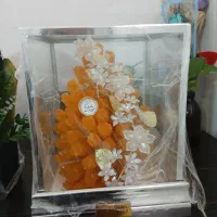 شاخه نبات