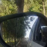 ساینا sدوگانه