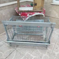 قفس پرنده