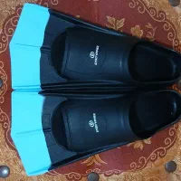 فین شنا