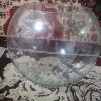 تنگ