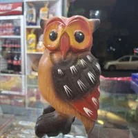جغد صدا دار