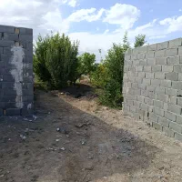 باغ یا باغچه سند دار 500متری قیمت مناسب