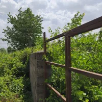 زمین واقع در ضیابر (بهمبر)