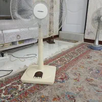 ایستاده پارس خزر