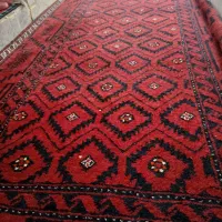 قیچی درخت بری