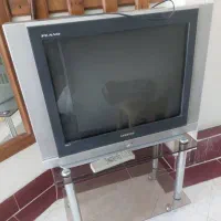 تلویزیون