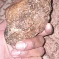 شهاب اصل مشتری واقعی