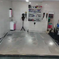 آفتاب سوختگی خودرو جک .405.سمند پارس. پژو پراید