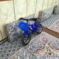 دوچرخه حرفه ای ۱۲