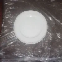فروش ۲۰ بشقاب ۱ و ۷۰۰