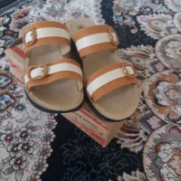 انواع دمپایی