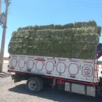 فروشنده یونجه خشک با بهترین قیمت
