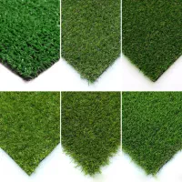 دفتر پخش شیراز چمن گویم
