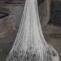 تورماهگیری