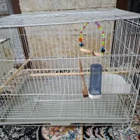 قفس پرنده