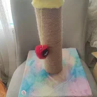 اسکچر گربه