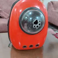 کیف حمل پت خانگی