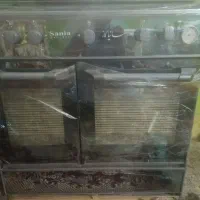 گاز نو پنج شعله.ساینا