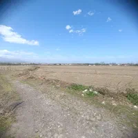3000مترزمین-کشاورزی-دارای-راه-ماشین-رو