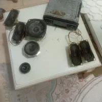 ظبط