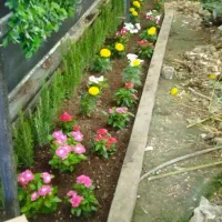خدمات‌باغبانی‌درسراسر‌تهران