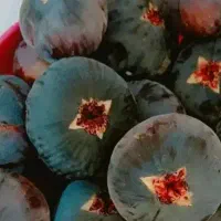 انجیر سیاه