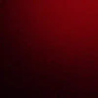 فلاش استودیویی گواکس sk300