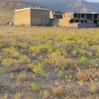 زمین در ملکشاهی سر بان باباخان