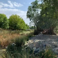 فروش چند قطعه زمین منطقه رابر (مبارکه)