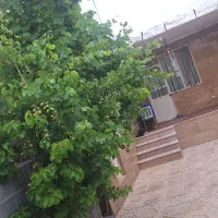 اجاره-خانه-ویلایی-دو-خوابه