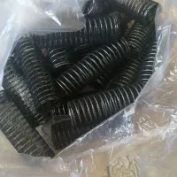 گل وبیگودی