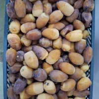 ر طب