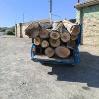 خرید و حرس درخت باغی