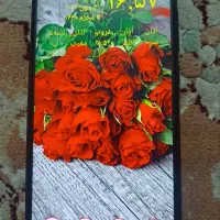 چند مدل گوشی