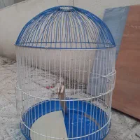 قفس پرنده