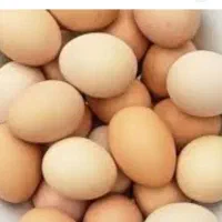تخم مرغ محلی خوراکی