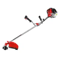 حاشیه زن بنزینی اکو (چمن زن)