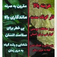 قرص کود|گل و گیاه طبیعی|باغستان, |دیوار