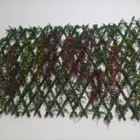 آکاردئونی نو برگ شمشاد