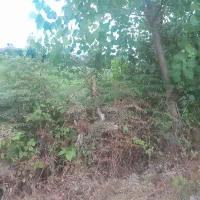 ۳۵۰متر زمین مسکونی دوبر قابلیت دو پلاک