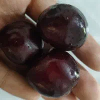 گیلاس فروشی