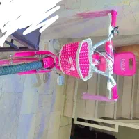 دوچرخه 20 فلامینگو