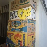 جعبه موز