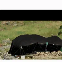 فروش  یک عددبهون