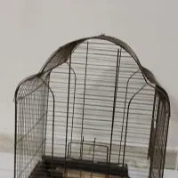 قفس طوطی