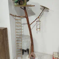 لونه پرنده