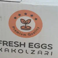 کارگر ساده
